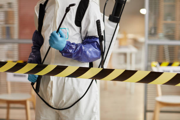 Professional Sewage Cleanup technician working in Willard, MO